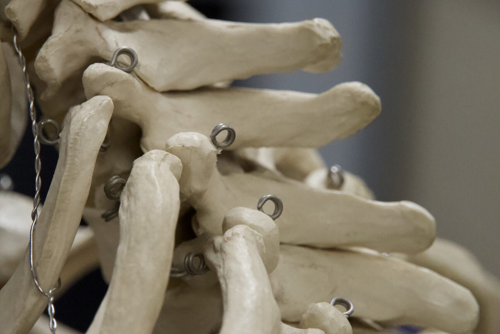 Spinal Manipulation & Dynamic Mobilisation – Level 2
